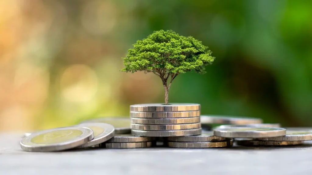 Um montinho de 8 moedas empilhadas com um broto de uma árvore crescendo em cima.